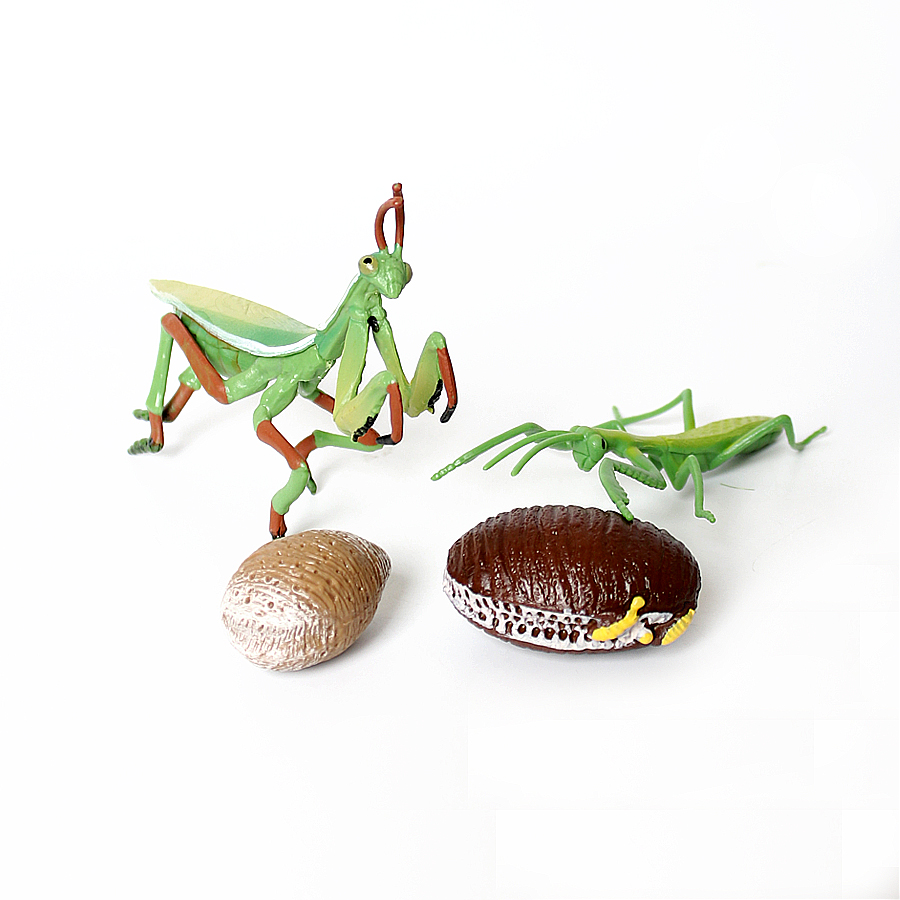 Modèle réaliste de Mantis Orch - Interior Design House avis et prix